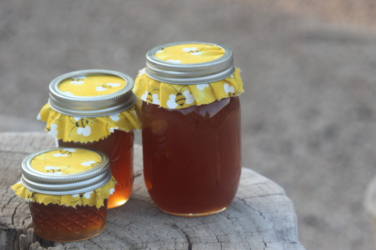 What is the Difference Between Our Dark Honey and Light Honey?